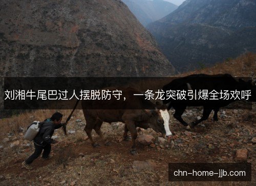 刘湘牛尾巴过人摆脱防守，一条龙突破引爆全场欢呼